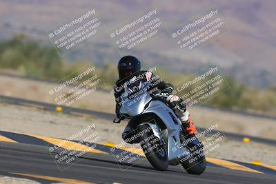 media/Nov-12-2023-SoCal Trackdays (Sun) [[5d1fba4e7d]]/Turn 14 (1035am)/